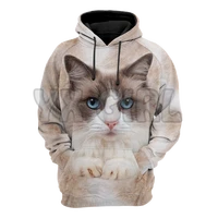 cat gifts ragdoll cat face hair 3d printed hoodies unisex pullovers funny dog hoodie casual street tracksuit