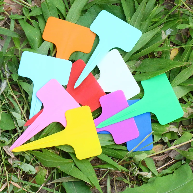 

10pcs 6*10CM T-Shape Plastic Plant Tags Waterproof Flower Seed Varieties Tagging Marker Garden Labels Plaques For Plants Sign