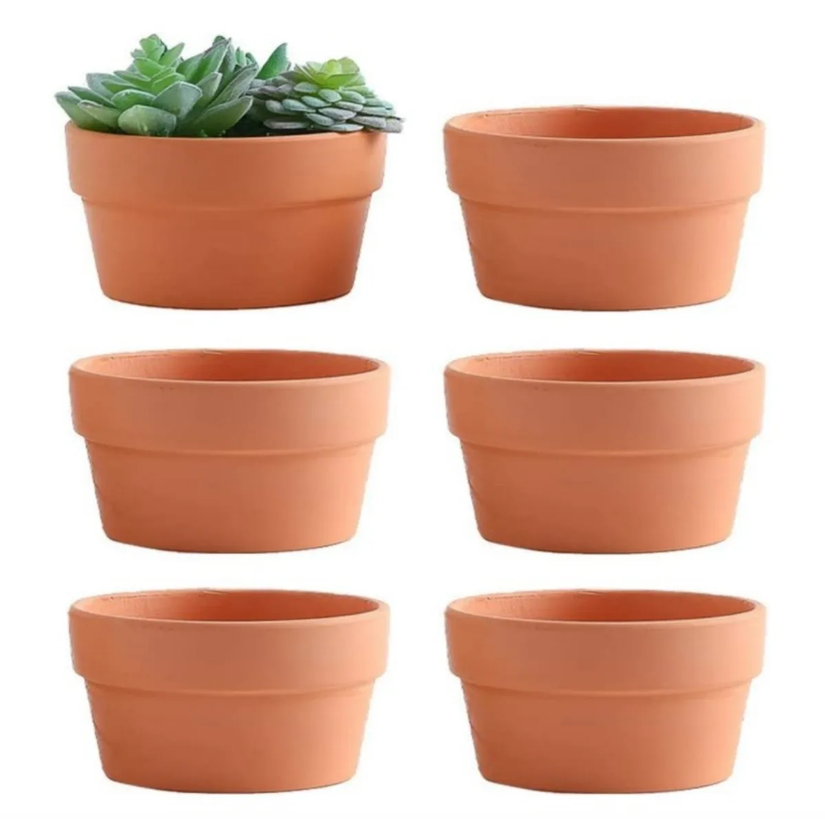 

Горшки из терракоты 6 шт., 3,5x2,2 дюйма