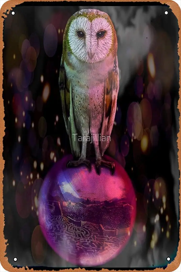 Металлический логотип лабиринтный Кот Орел оловянный постер 30 48X20 32 см