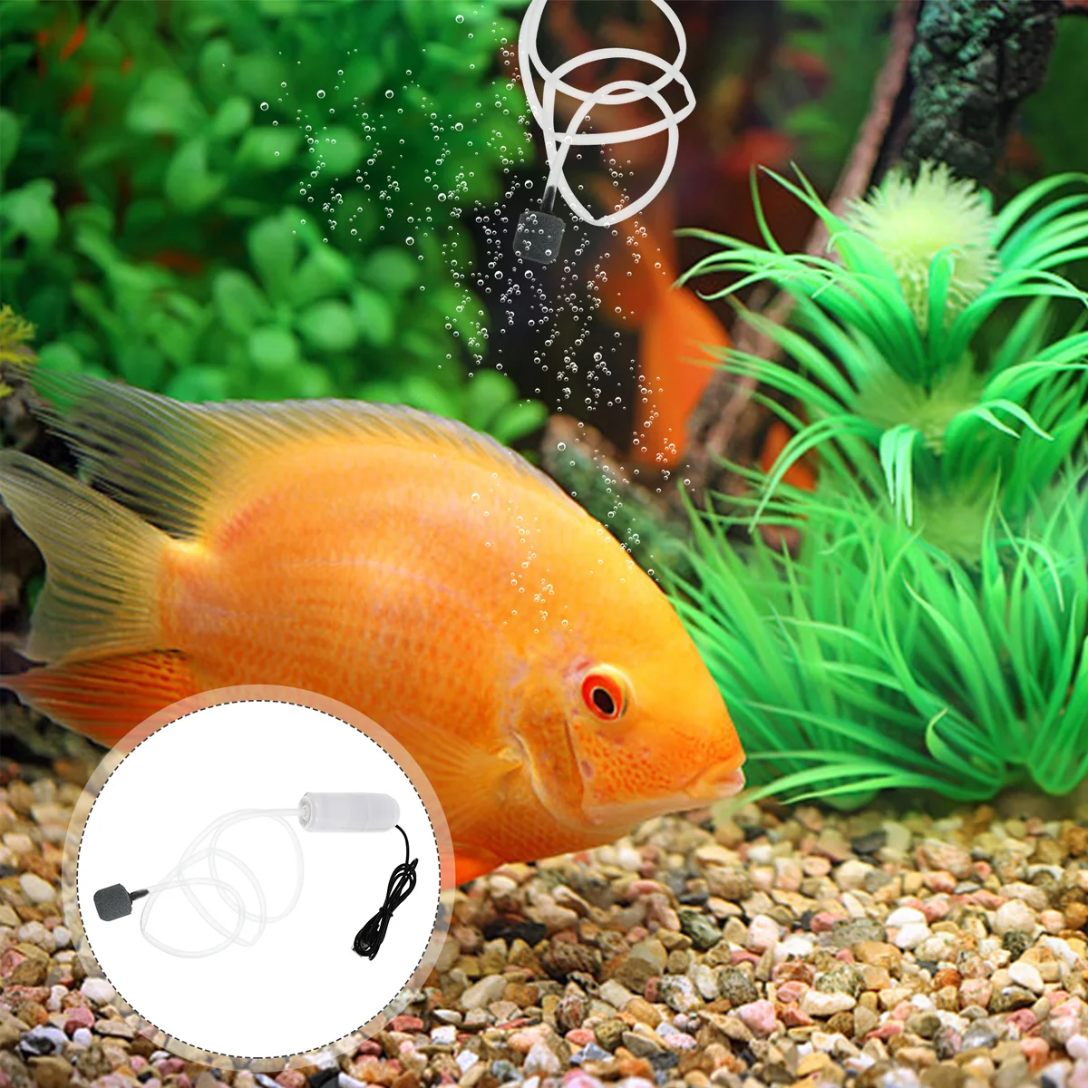 

Pump USB Powered Aquarium Charging Generator Air Small Aeration Mini Frother