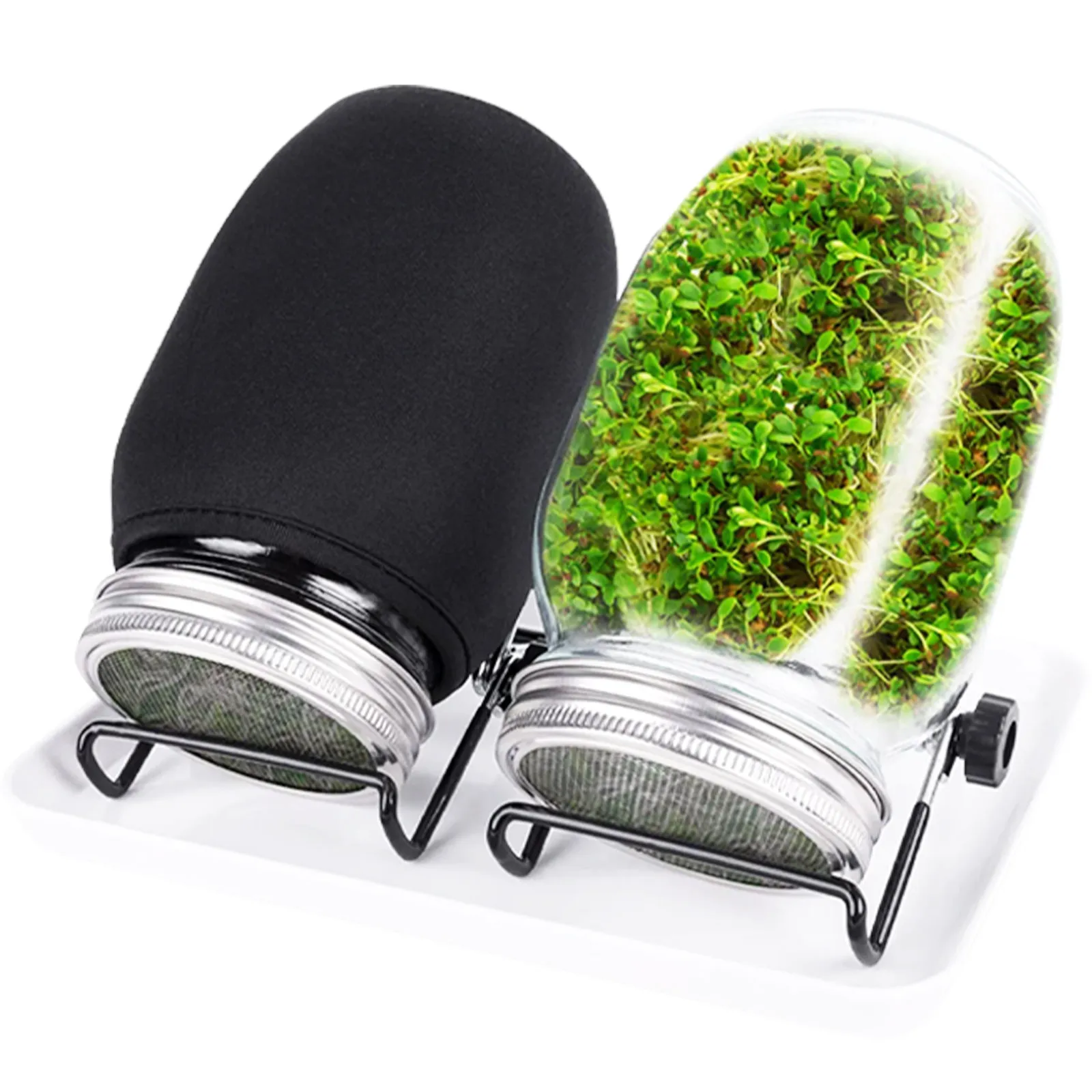 

Seed Sprouting Jar Seed Sprouter Germination Cover Bean Sprouts Growing Kit with Stainless Steel Screen Lids Bean Sprout Growing