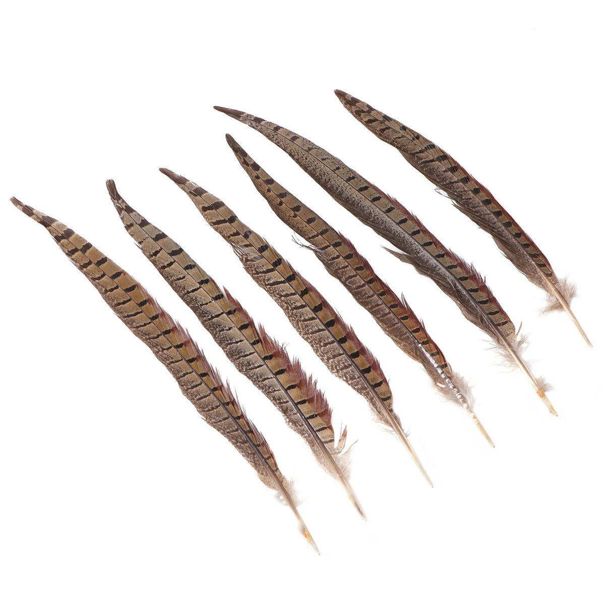 

Pheasant Feather Real Party Decor Making Materials DIY Accessories Feathers Crafts for Stage Performance Clothing