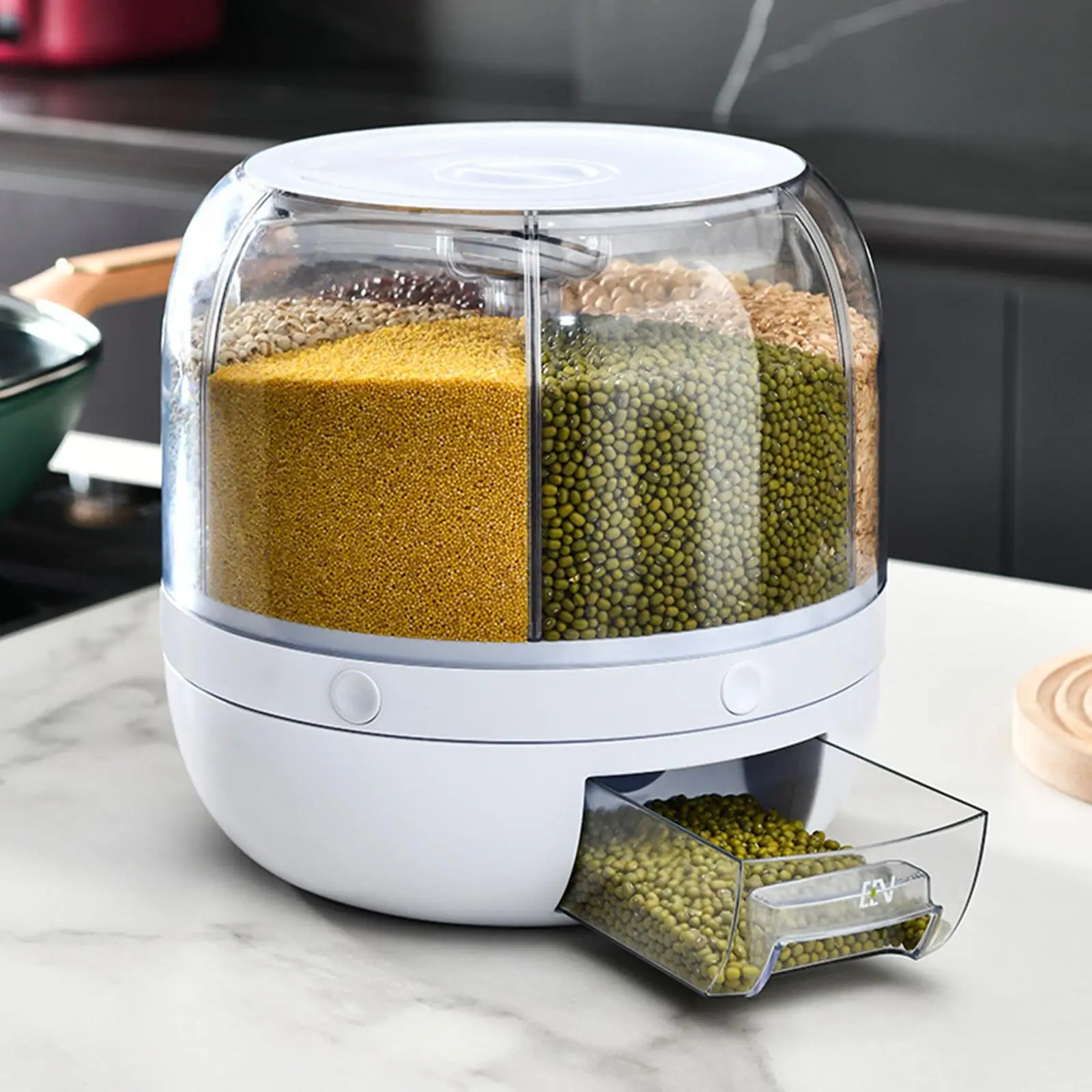 

6 GridStorage 10kg Capacity Rice Storage Organization Grains Flour Storage Box for Countertop Home Kitchen