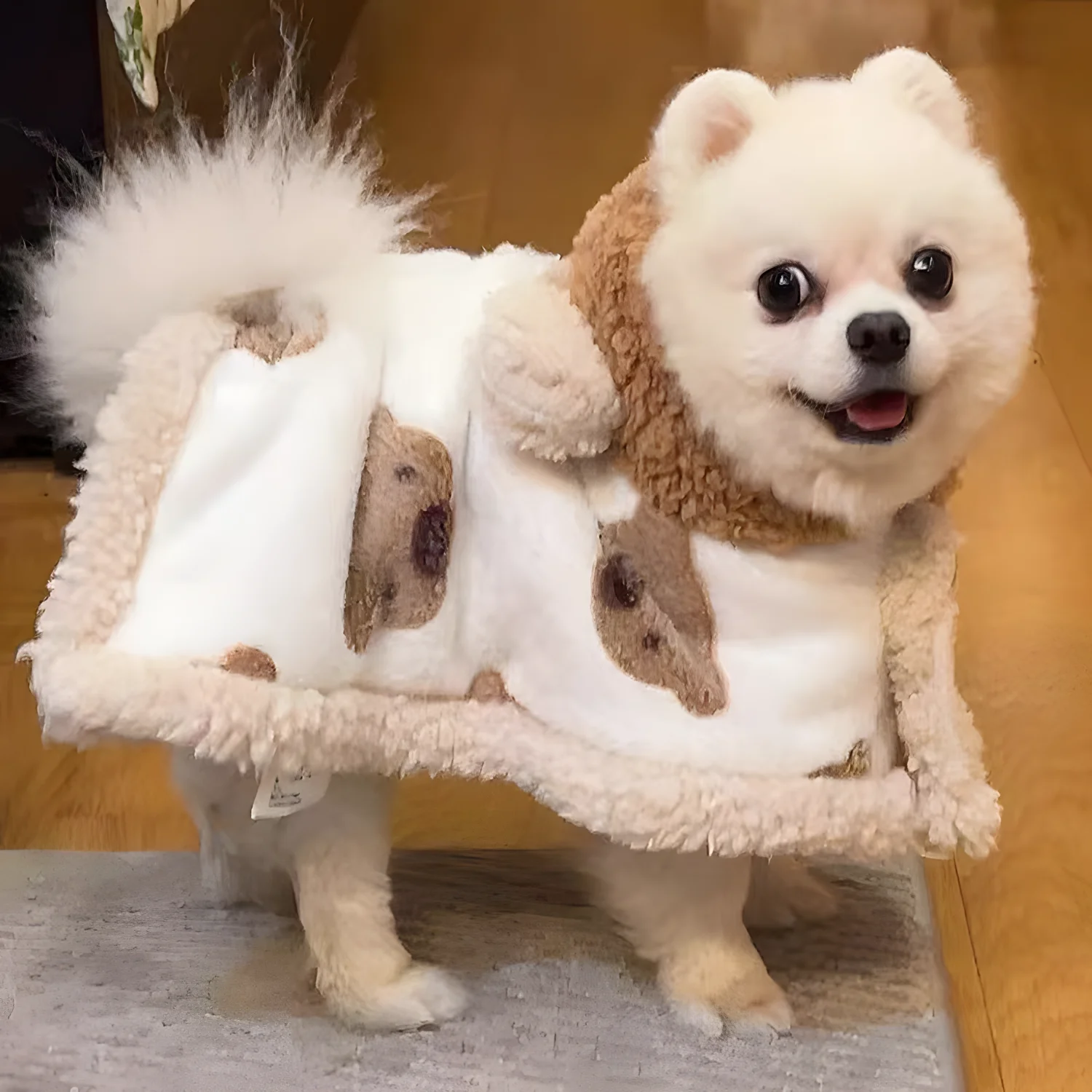 

Worthymate Cute Pet Cape Dog Warm Winter Blanket Free Shipping Bear Puppy Coat for Schnauzer Corgi Cat Gift