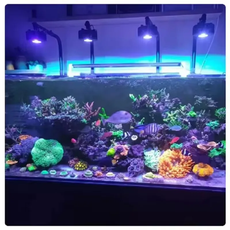 A7 II III P Aqua LED Light WiFi App Control Полный спектр 100 Вт Морская пресноводная морская