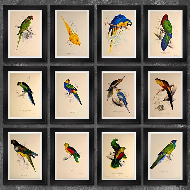 

Nordic RETRO Art Animal Color Bird Canvas Painting Parrot Poster Office Wall Pictures Print Living Room Bedroom Home Decor Mural