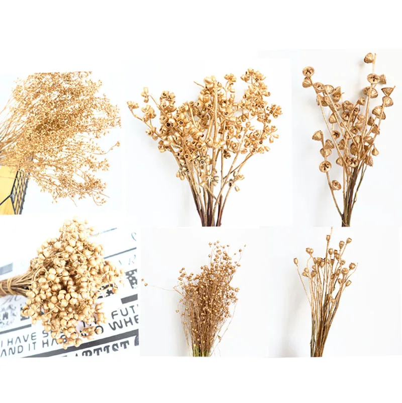 

Natural Dried Flower Millet Fruit Rich Bean Eucalyptus Fruit Immortal Flower Poppy Flower Material Wedding Party Decoration