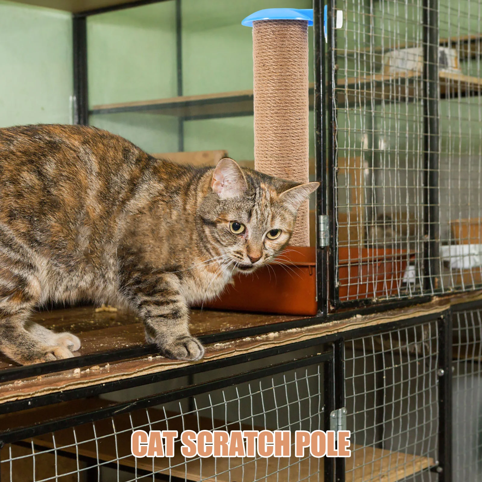 Когтеточка для кошек доска игрушек-клетки сменные игрушки-полюски джутовые