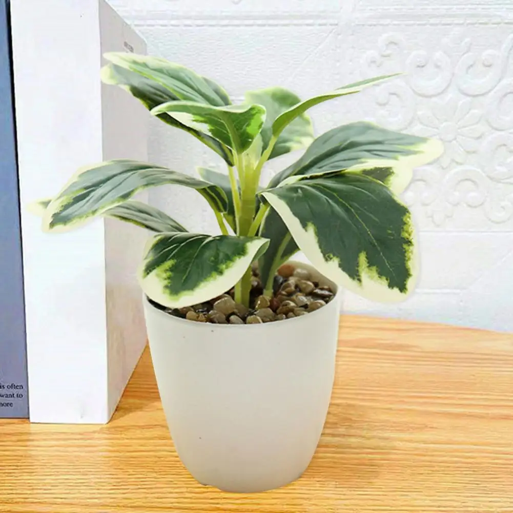

Beautiful Simulated Pot Full of Vitality Widely Applied No Wither Realistic Imitation Plant Artificial Pot Simulation Plant