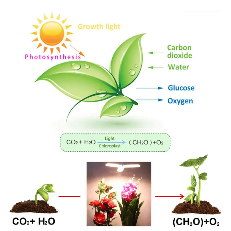 Светильник Светодиодная полного спектра для выращивания растений 24/36/48 Вт -