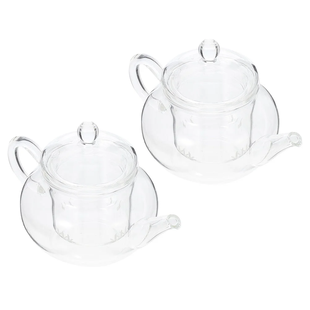 

Teapot Tea Clear Kettle Pot Teapots China Modern Blooming Asian Strainer Flowering Stovetop Stove Leaf Loose Japanese