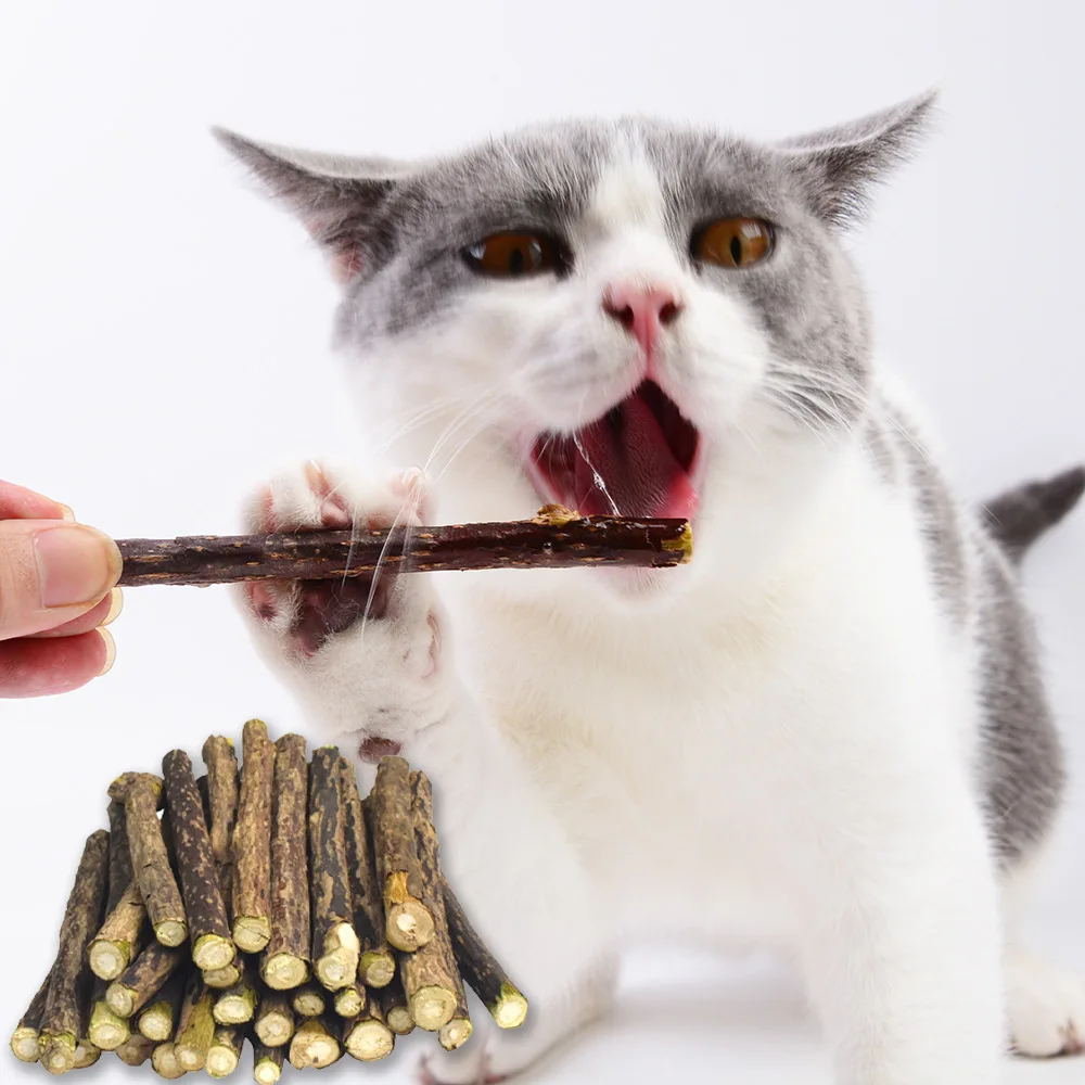 

50/100PCS Natural Catnip Pet Cat Molar Toothpaste Stick Matatabi Actinidia Fruit Silvervine Cat Snacks Sticks Pet Cleaning Teeth
