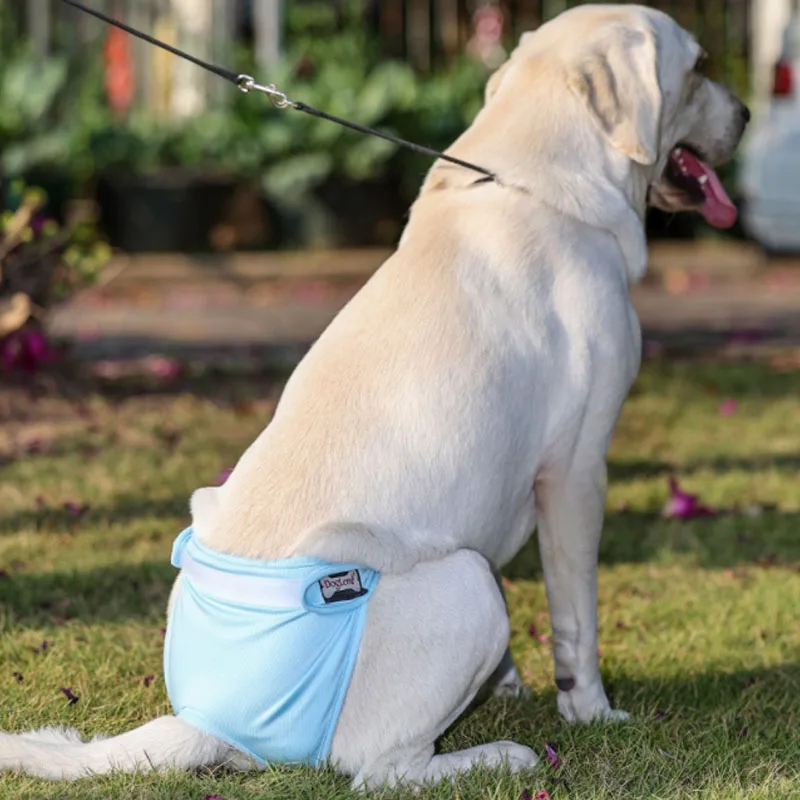 

Female Dog Diapers Graphene Pet Physiological Pants Antibacterial Hygiene Briefs Dog Shorts Anti-harassment Underwear For Bitch