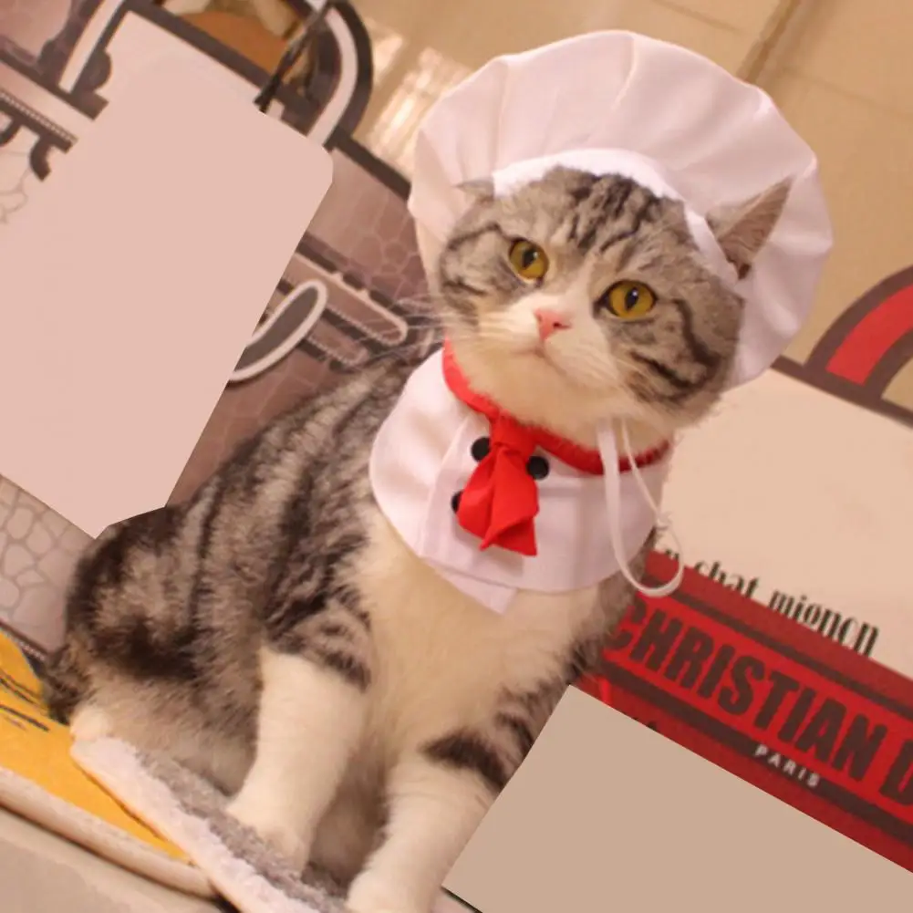 

Lovely Pet Hat Buckle Adjustment Lightweight Chef Style Pet Headwear Lovely Pet Headwear Pet Accessories