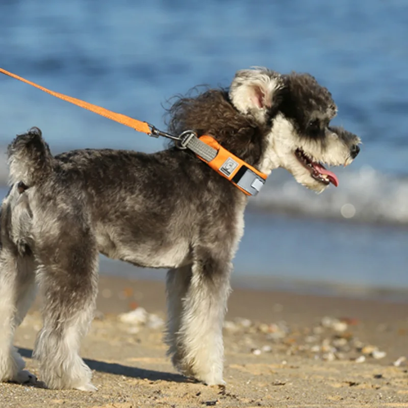 Ошейник для собак Truelove дышащий Регулируемый Светоотражающий ошейник с