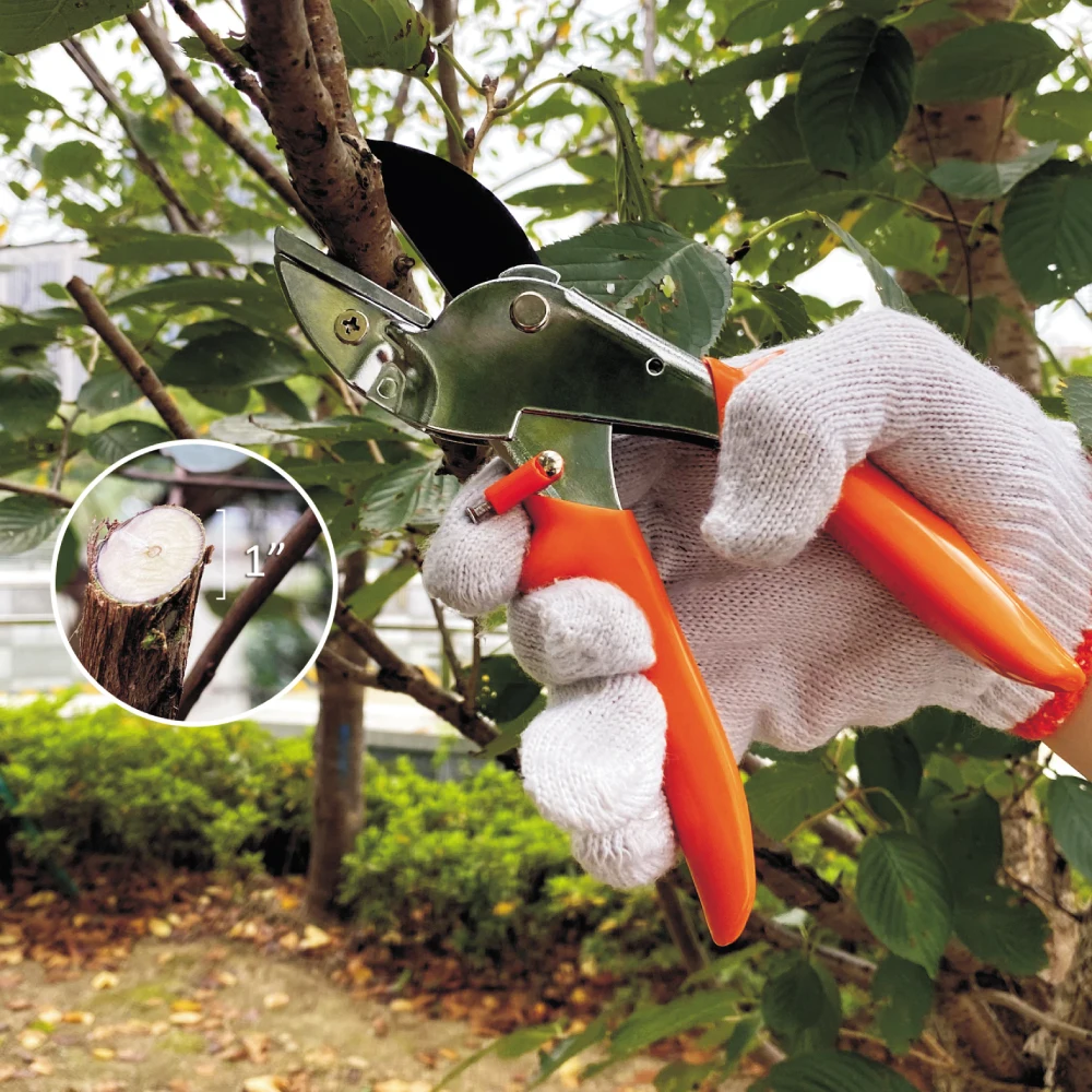 Pruning scissor branch Garden pruner garden Floral secateurs shear