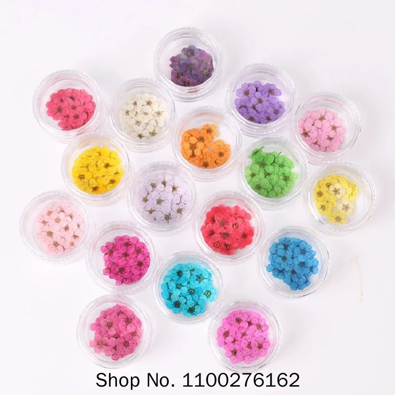 

100pcs Pressed Dried Narcissus Plum Blossom Flower With Box For Epoxy Resin Jewelry Making Nail Art Craft DIY Accessories