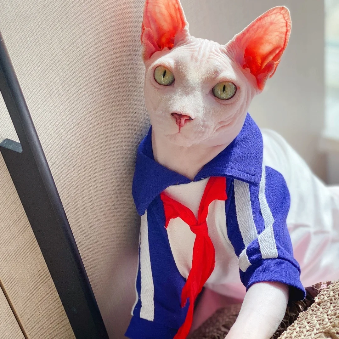 Повседневная хлопковая Футболка в стиле интернет-знаменитостей одежда с