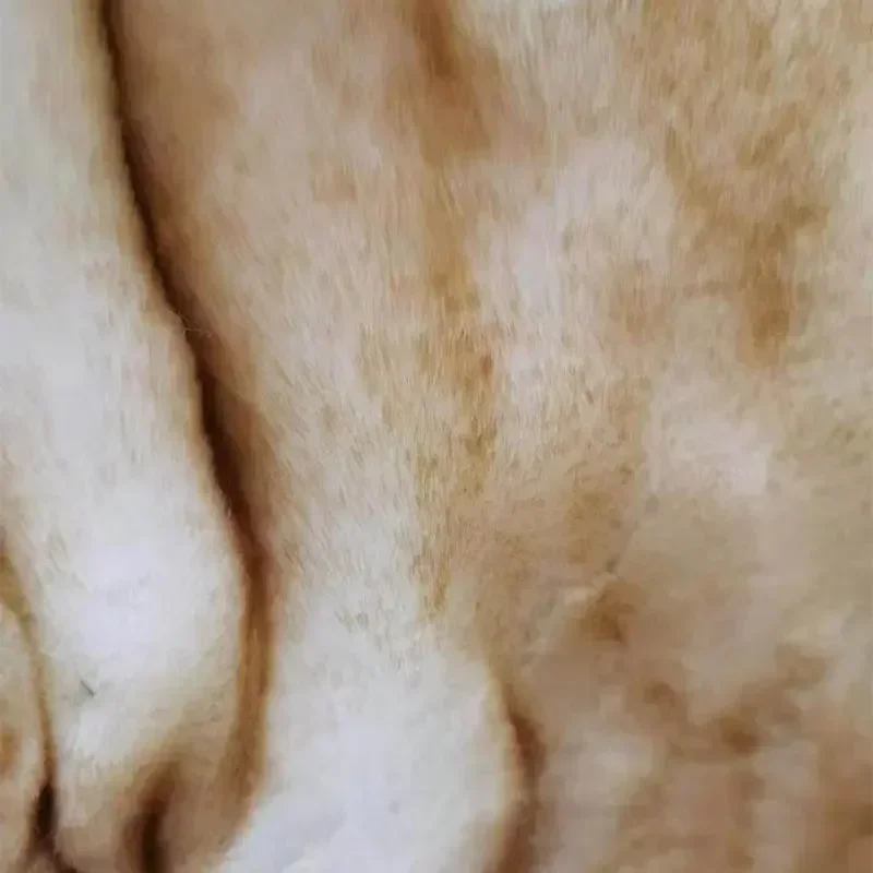 Новое зимнее утолщенное плюшевое одеяло из искусственного меха Фланелевое