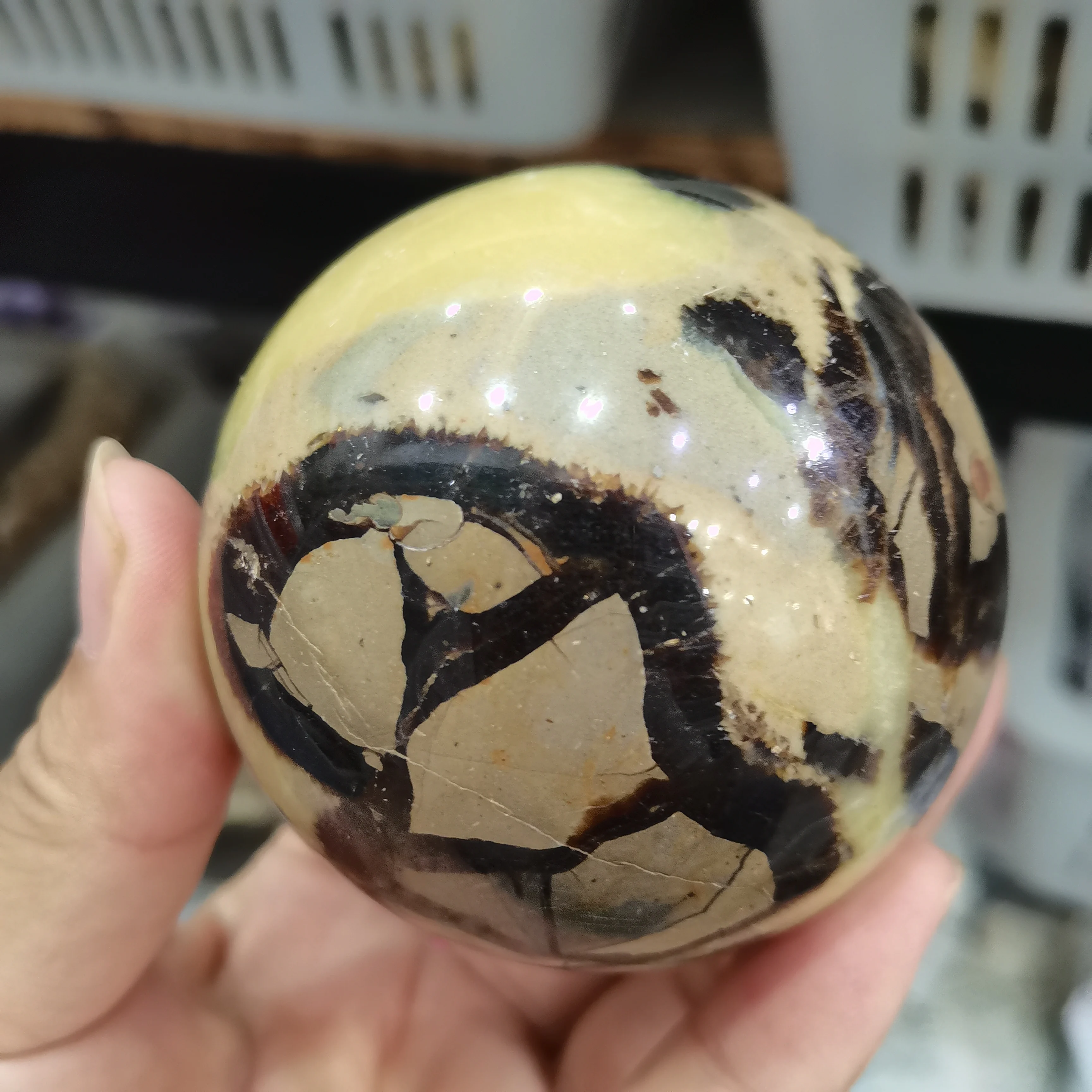 

Natural Turtle Stone Ball Geode Hand-polished Home Spiritual Garden Decoration Witchcraft Altar Crystal With Stone Healing