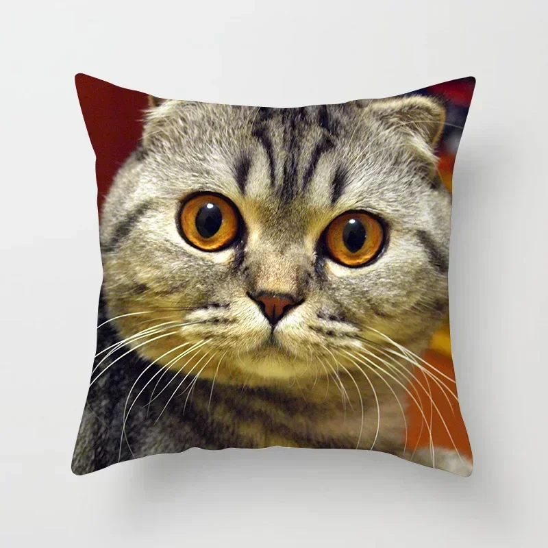 

Чехол для подушки с котом, полиэстер, 45x45 см