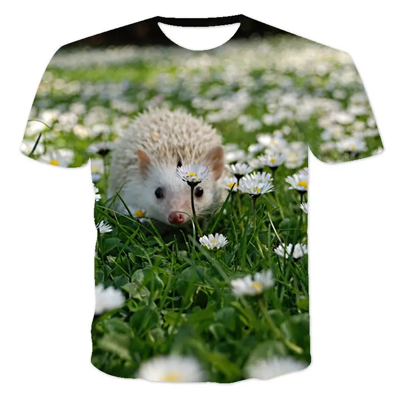 

Spring And Summer, Men And Women T-Shirt 3d Printing Animal Hedgehog Series, Hip Hop, Street, Casual Sports, Soft, Loose Jacket