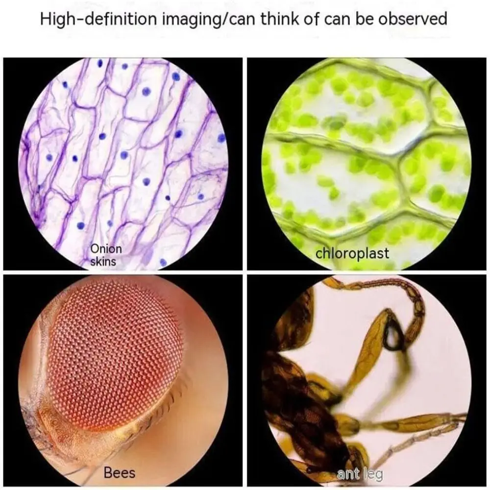 Карманный микроскоп из АБС-пластика ручной минископ с увеличением 60x-120x детский
