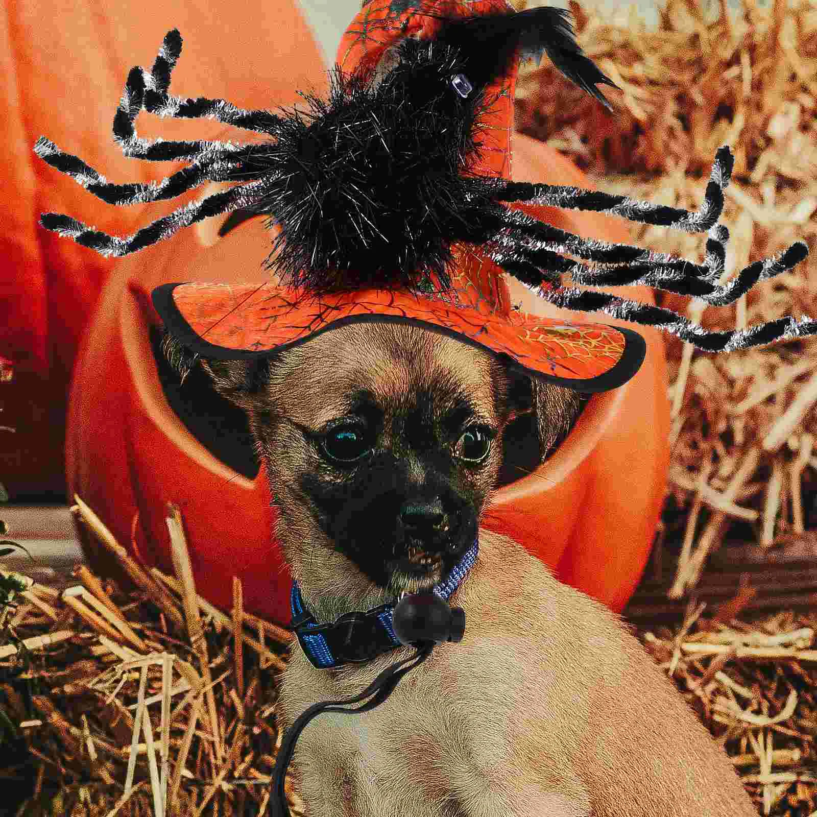 

2pcs Pet Halloween Hat Adorable Dog Halloween Hat Decorative Kitten Hat Pet Cosplay Hat