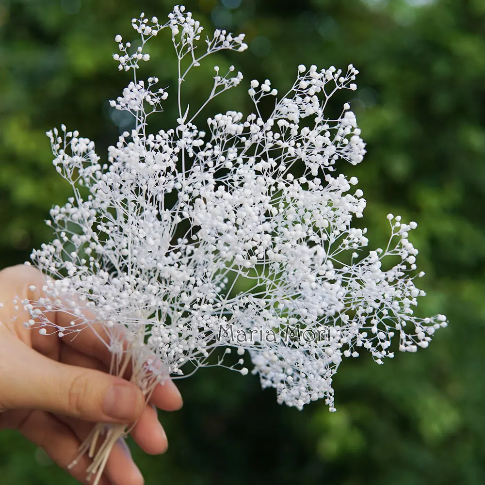 

Мини сухоцветы "Детское дыхание"