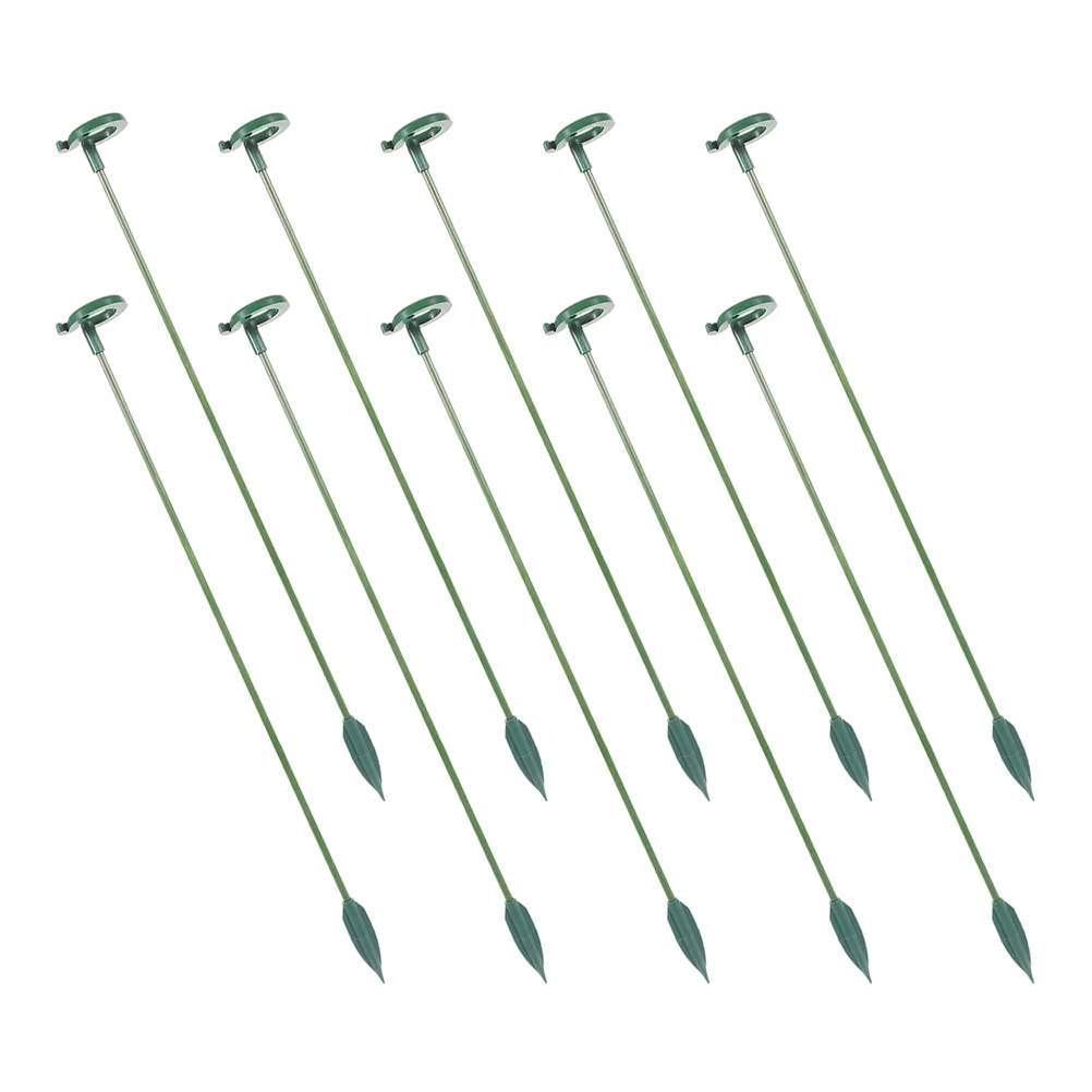 Сочные подставки для фаленопсиса колья комнатных цветов бабочек орхидей