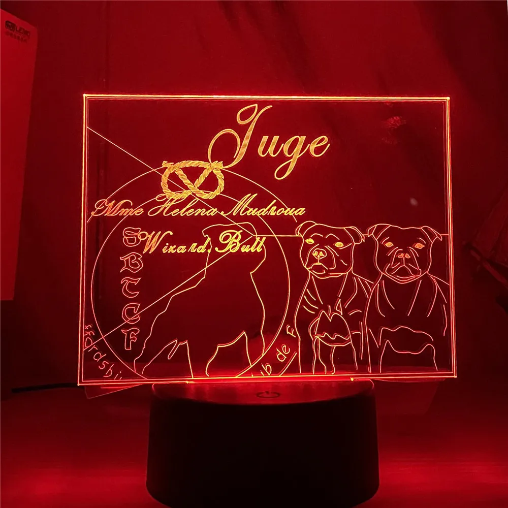 

LED Cat Dog Pet Gift Lamp custom made Animal characters photos 3D Night Light Dimmable USB for Decorate Christmas Birthday