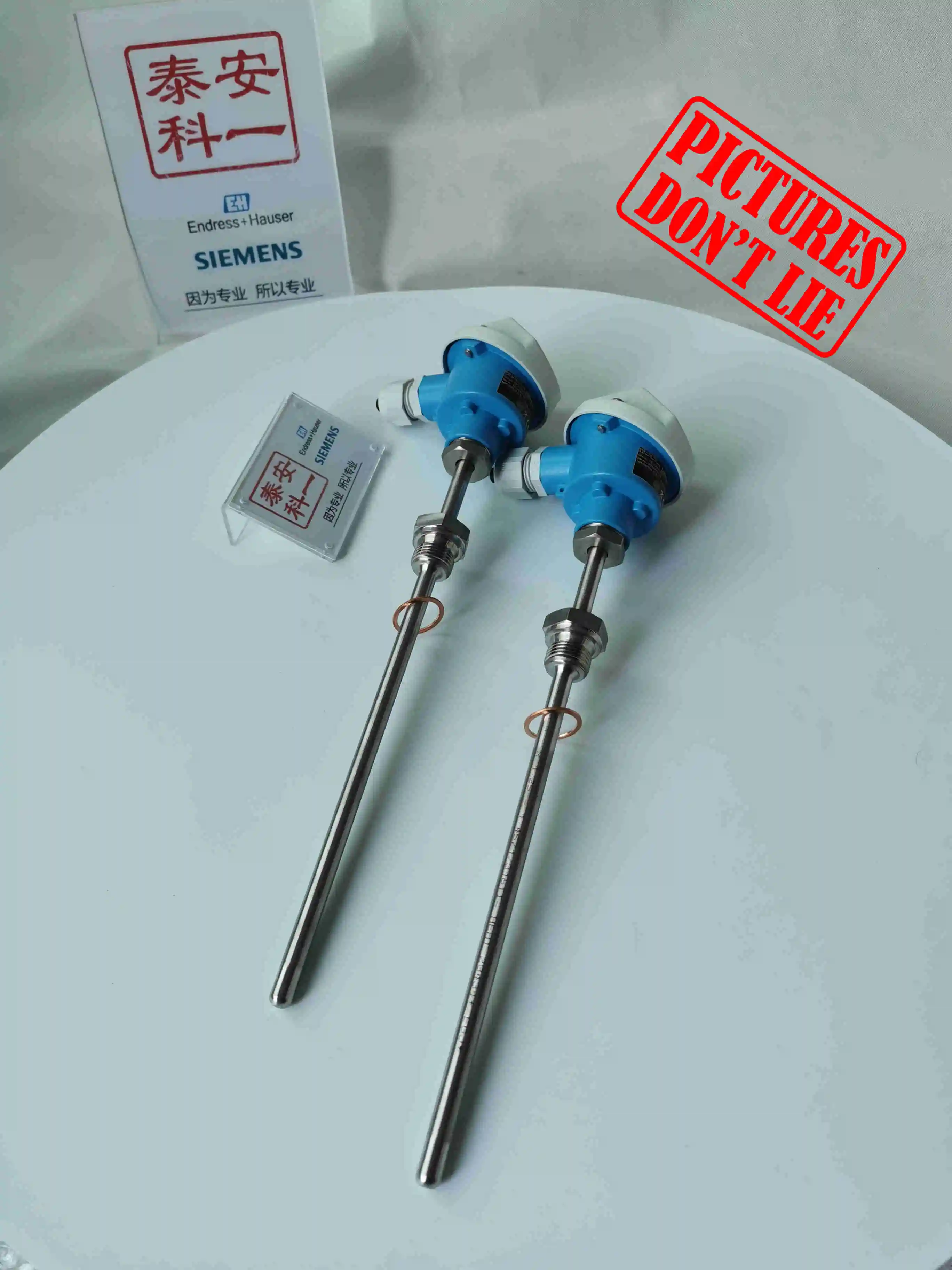 Фото Взрывозащищенный термометр Endress + Hauser Pt100 TR10, модульная температура №3