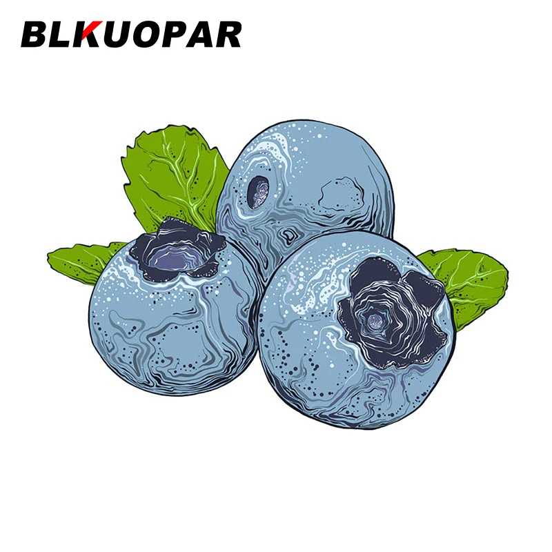 

EARLFAMILY 13 см X 8,7 см для ручной росписи, черника, автомобильная наклейка на бампер, окно, водонепроницаемая, с защитой от царапин