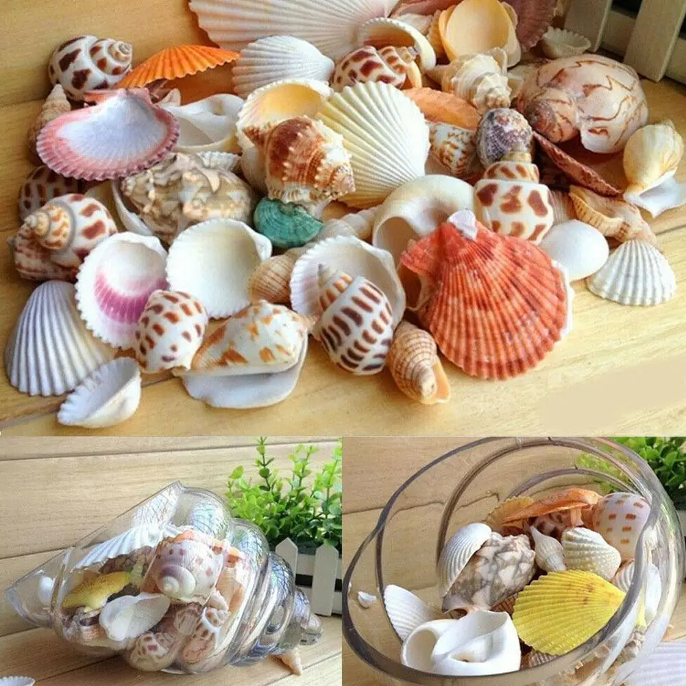 Смешанные морские ракушки 100 г