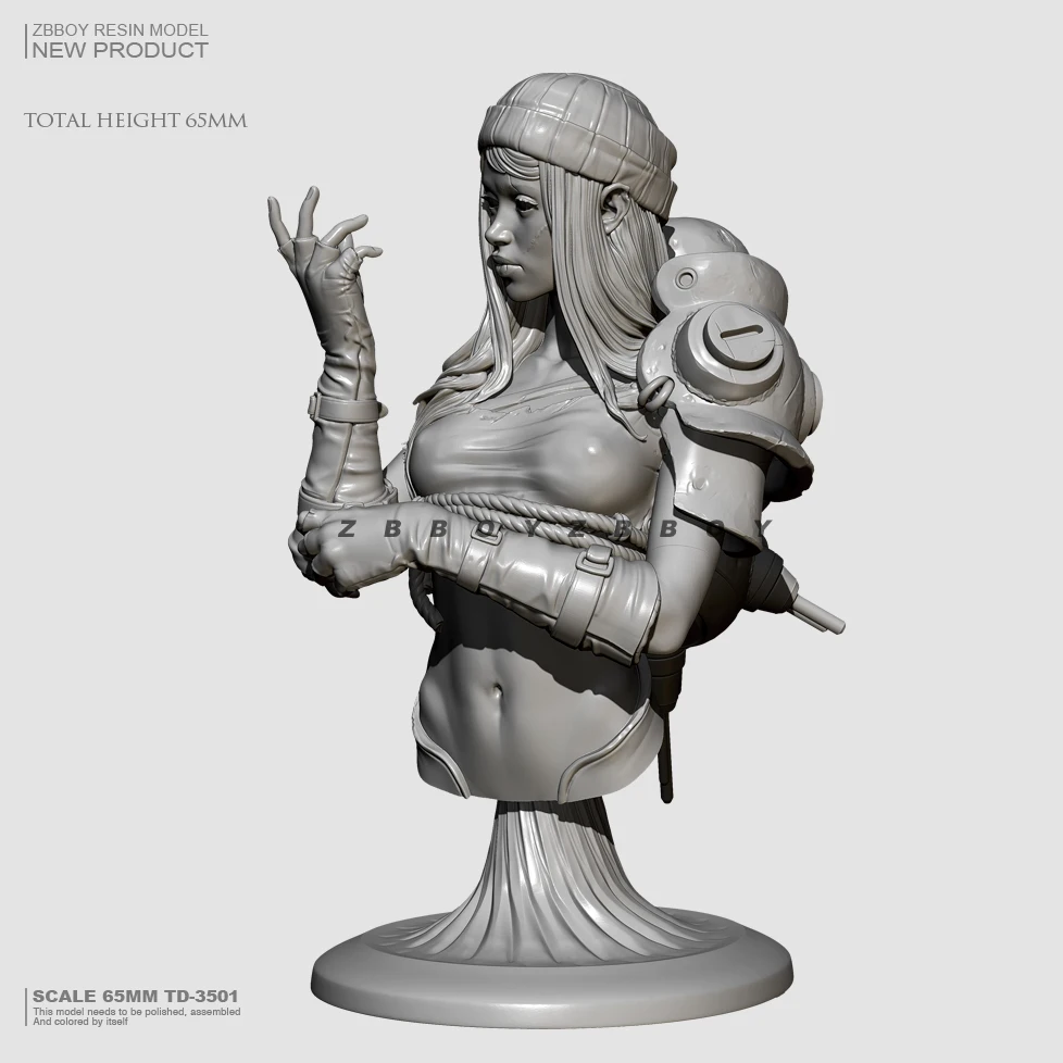 

65mm Resin bust model kits figure colorless and self-assembled TD-3501