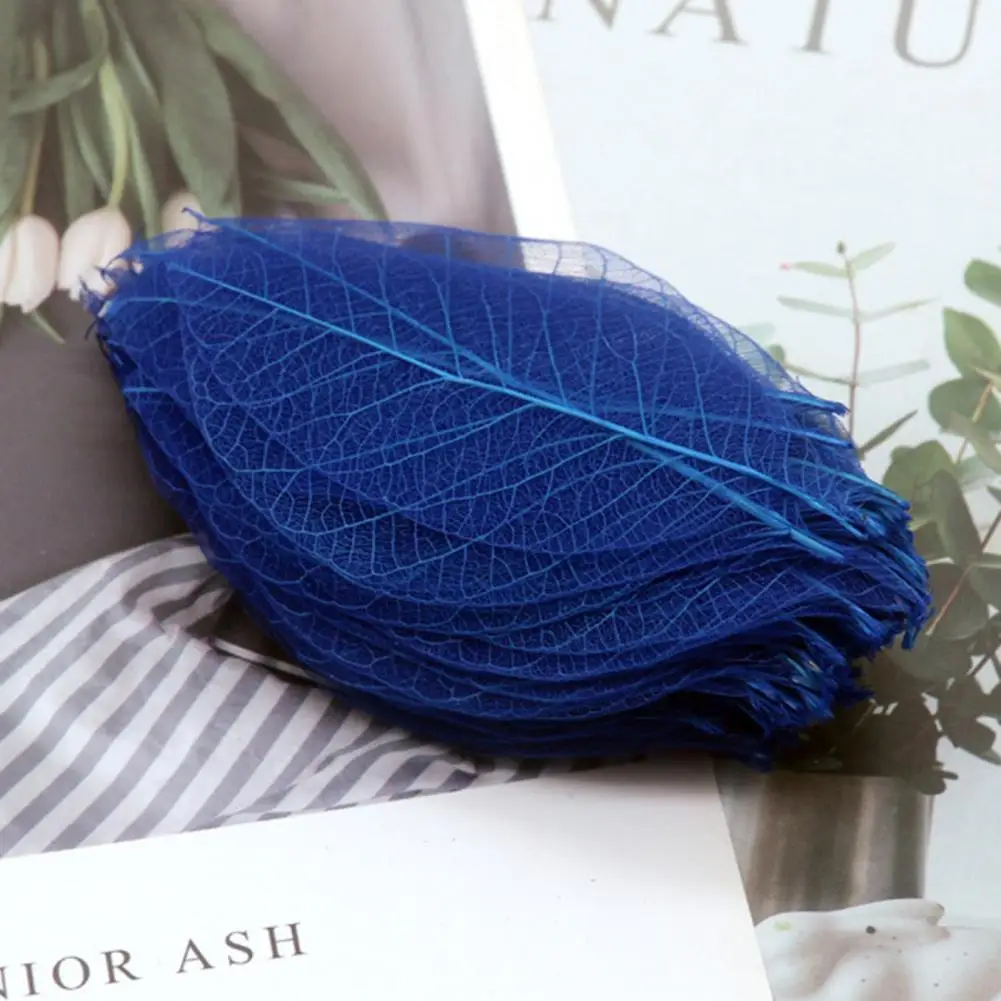 

100Pcs/Set Decorative Rubber Tree Leaf Large Quantities Dry Skeleton Leaf Handmade Bookmark