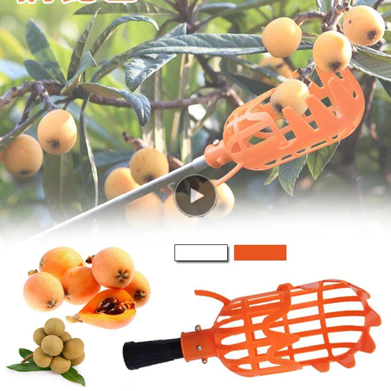 Большой урожай фруктов садовый яблоки персики инструменты для сбора высоких