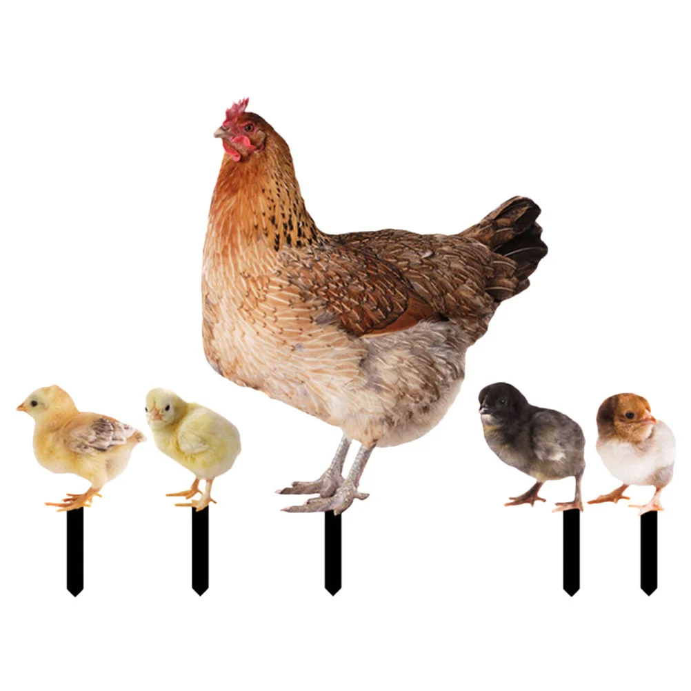 

5pcs Creative Premium Realistic Garden Accessories Outdoor Decor Acrylic Chicken Stake Lawn Lawn Stake for Outdoor