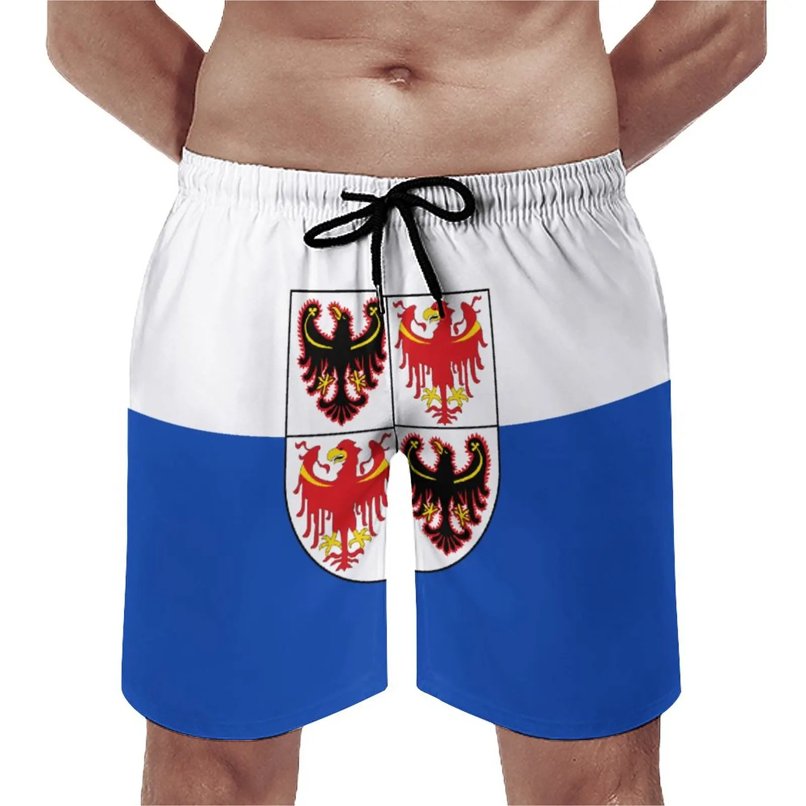 

Men's Beach Shorts Anime Causal Flag of Trentino South Tyrol Breathable Quick Dry Unique Casual Adjustable Drawcord Loose Stretc