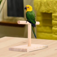 bird support durable compact anti scratch for parakeets parrots cockatiels parrot rack bird play stand
