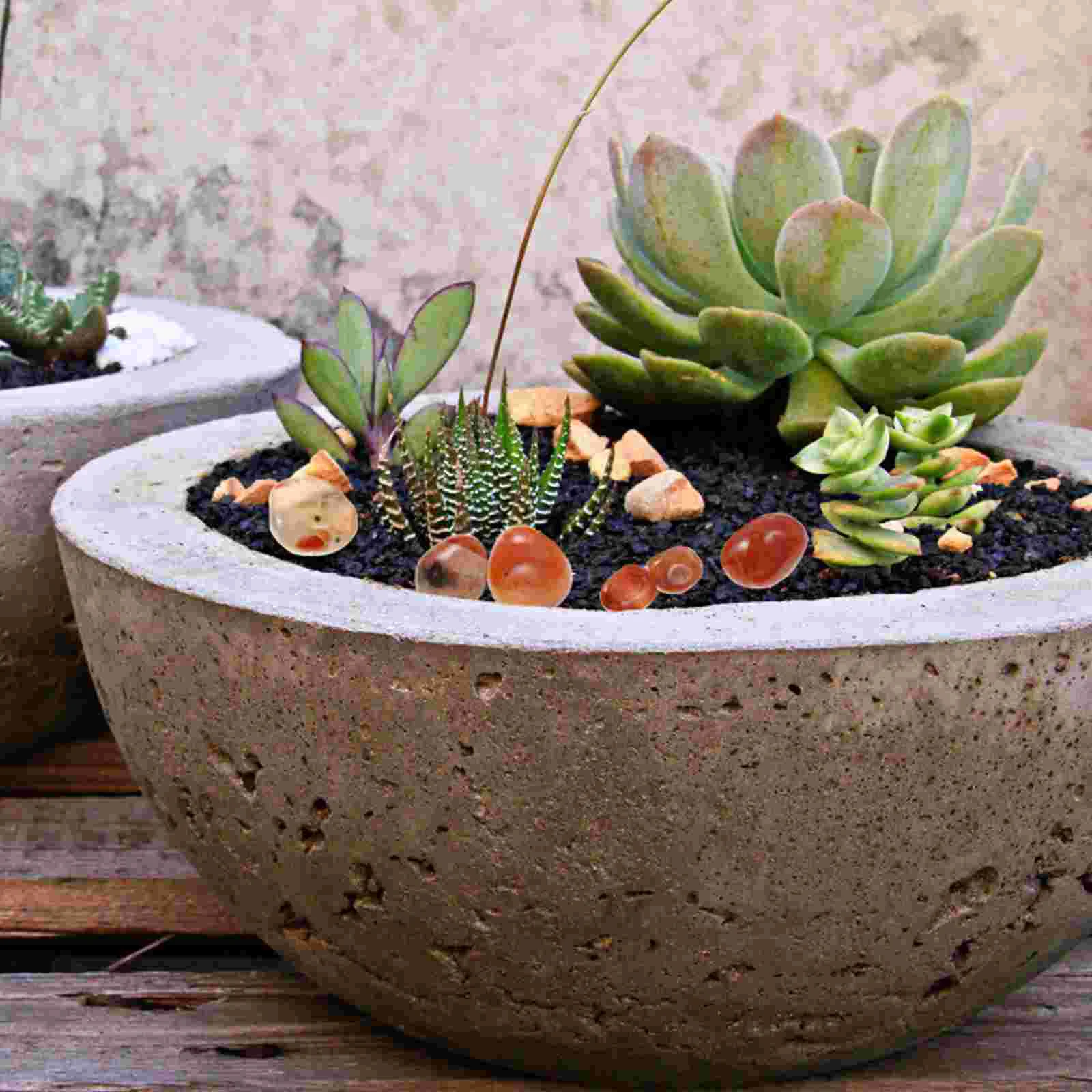 Камешки для растений суккуленты тротуарные камни декоративные садовые Юхуа