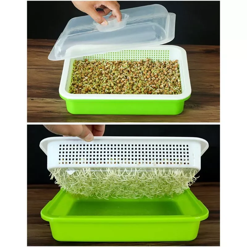 

2022 Tray BPA Free PP Soil-Free Large Capacity Healthy Wheatgrass Grower with Cover Seedling Sprout Plate Hydroponic