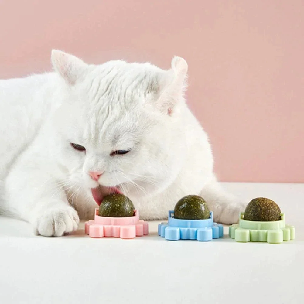 

Healthy Cat Catnip Toys Ball Cat Candy Licking Snacks Nutrition Catnip Snack Nutrition Energy Ball Kitten Cat Toy Cat Supplies