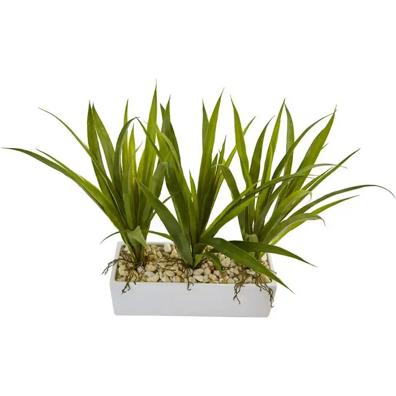 

in Rectangular Planter