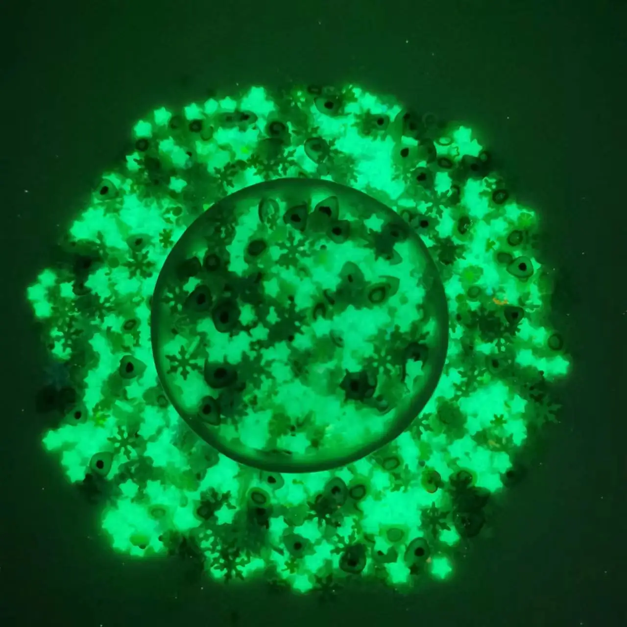 

Смешанные радужные цвета светящаяся Полимерная глина и блестки Ночная мягкая керамика для оформления искусства ногтей своими руками аксес...