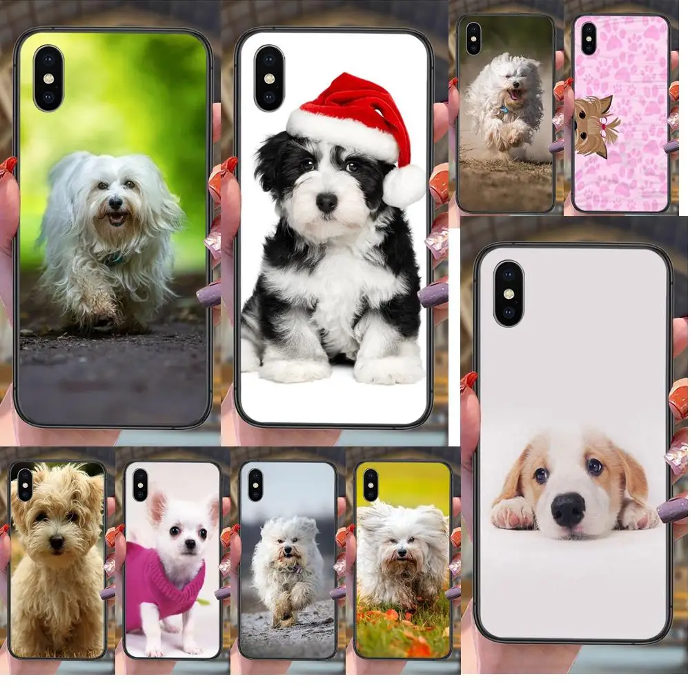 

Havanese Dog For Xiaomi Redmi Note 9 9S 8 8T 7 Pro 10 5G Redmi Note 9 Pro Girls Black Bumper Luxury Etui 3D