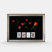 rose coin by shawn lee magic tricks petals to coins appearing gimmick mat magician close up stage illusions mentalism props