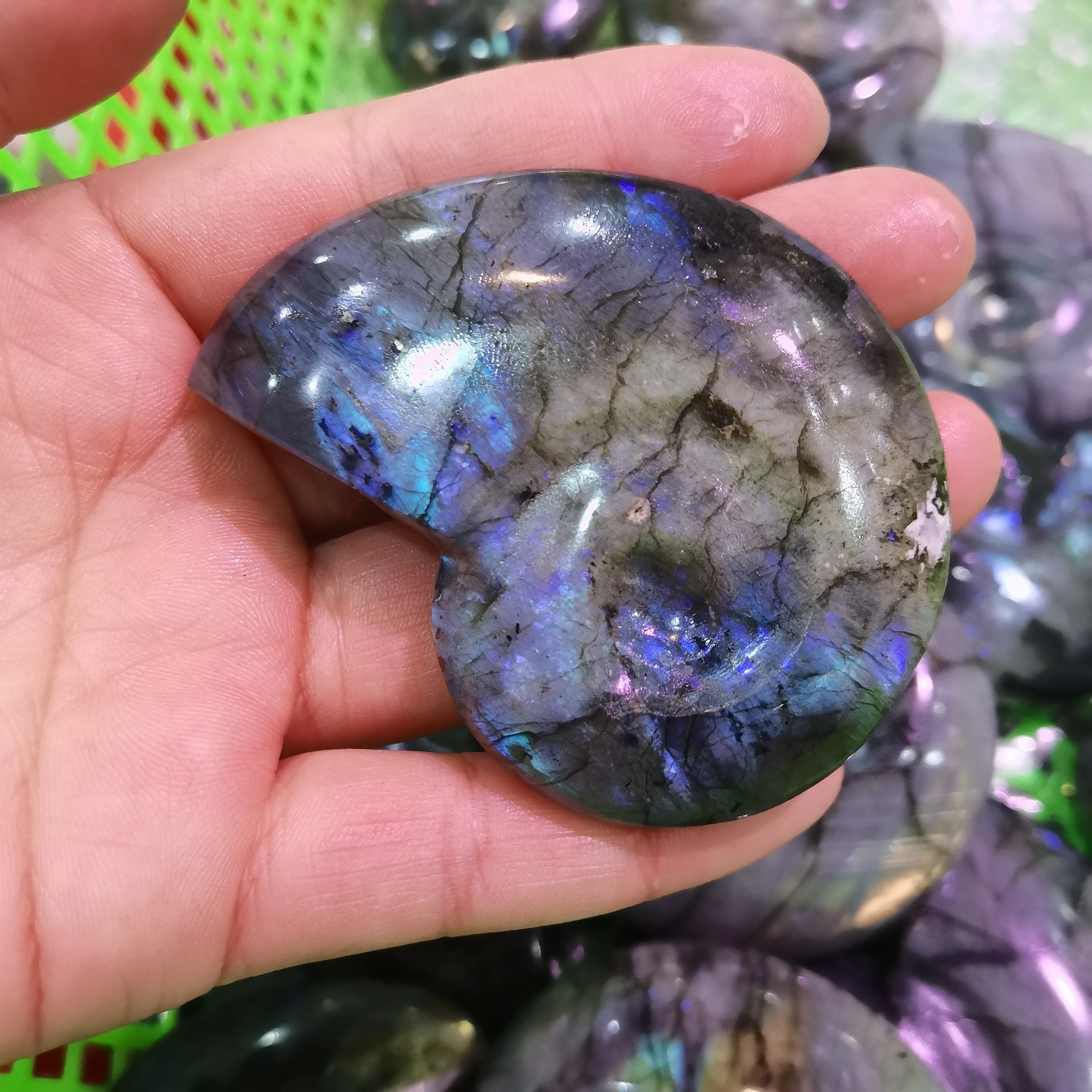 

Natural Labradorite stone Quartz Crystal hand Carved conch Aquarium Home Decor