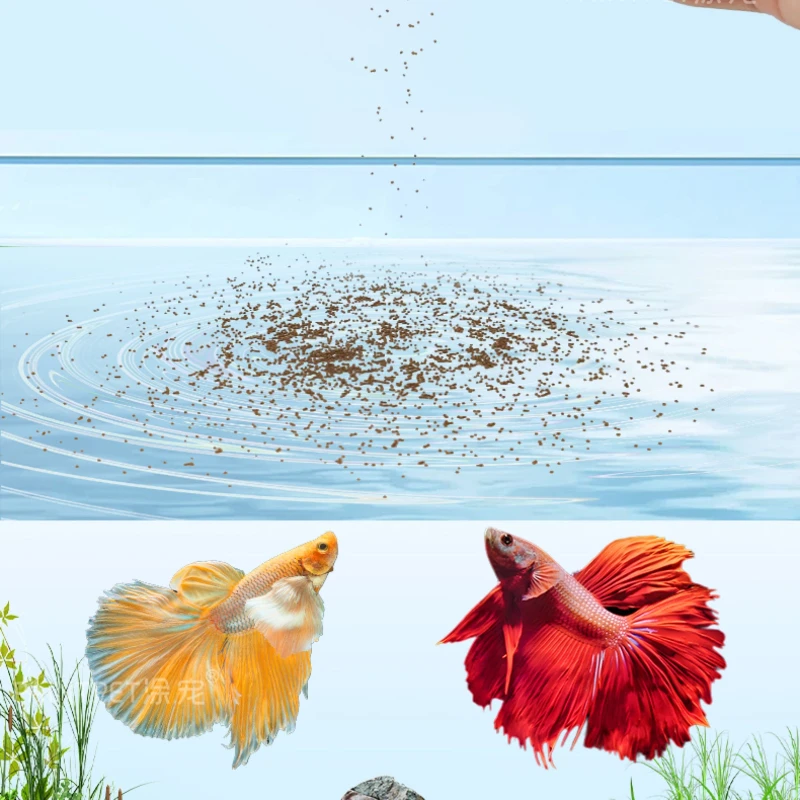 Фото Корм для рыб PAINTPET Betta&Guppy, гранулированный, мелкие гранулы, диетический, для тропических рыб, высокобелковый, усиливающий цвет, для аквариумных животных №4